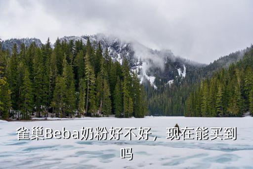 成都哪里有雀巢beba奶粉,雀巢Beba奶粉好不好