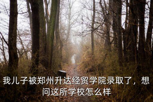 我兒子被鄭州升達經(jīng)貿(mào)學(xué)院錄取了，想問這所學(xué)校怎么樣