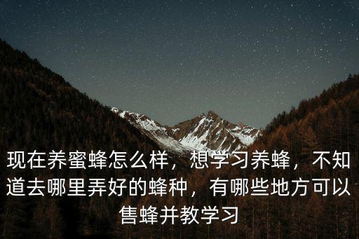 南充哪里可以養(yǎng)蜂,哪里可以培訓(xùn)