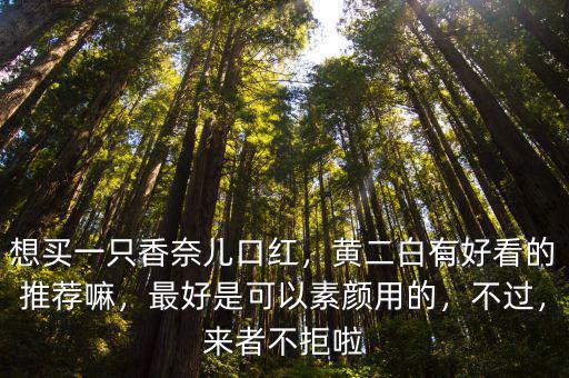 成都哪里有香奈兒口紅,哪里可以買到正品香奈兒口紅