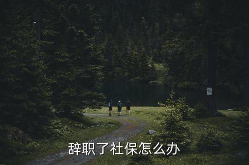 辭職了社保怎么辦