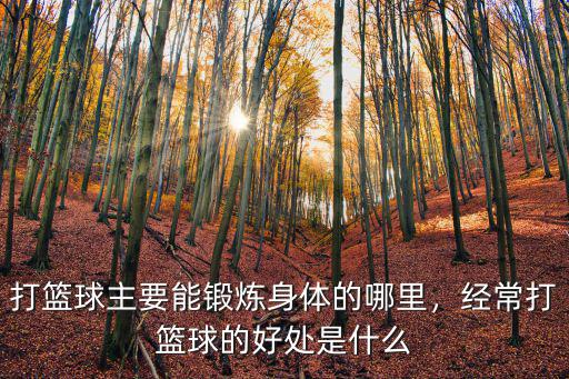 瀘州哪里打籃球,經常打籃球的好處是什么
