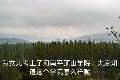 平頂山學院學生怎么交學費,平頂山學院怎么樣