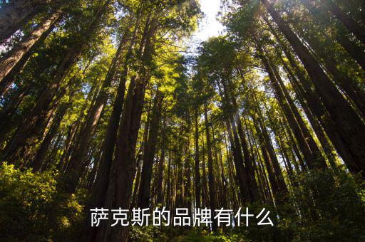 成都哪里有樂器批發薩克斯,中國樂器批發市場在哪里啊