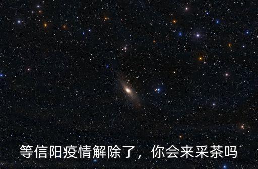 等信陽疫情解除了，你會來采茶嗎
