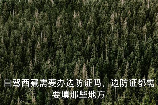 成都辦西藏邊防證在哪里辦,邊防證都需要填那些地方