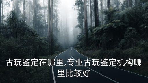 樂山古玩鑒定在哪里,專業古玩鑒定機構哪里比較好