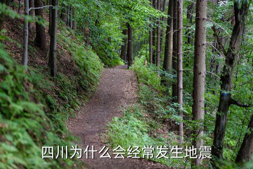 四川又地震了具體哪里是震中,四川又地震了