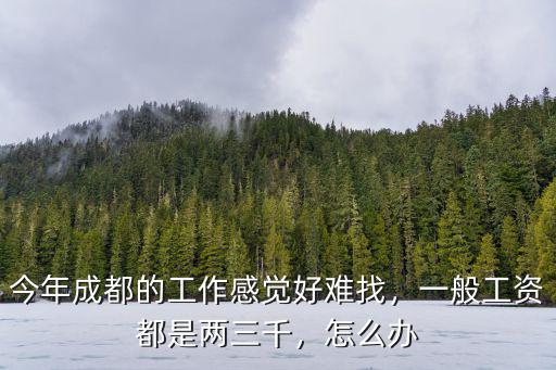 今年成都的工作感覺好難找，一般工資都是兩三千，怎么辦