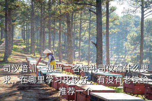 樂山在哪里可以學婚禮主持,學婚禮主持有用嗎