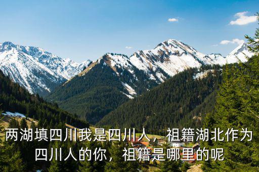 兩湖填四川我是四川人，祖籍湖北作為四川人的你，祖籍是哪里的呢