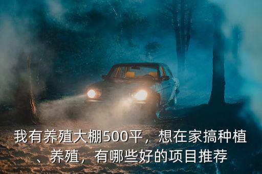 我有養殖大棚500平，想在家搞種植、養殖，有哪些好的項目推薦
