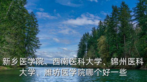 新鄉(xiāng)醫(yī)學(xué)院、西南醫(yī)科大學(xué)、錦州醫(yī)科大學(xué)、濰坊醫(yī)學(xué)院哪個好一些