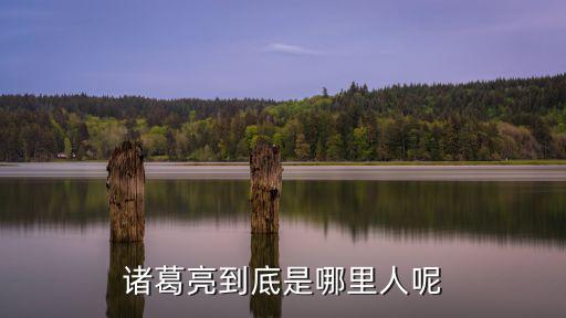 諸葛亮到底是哪里人呢