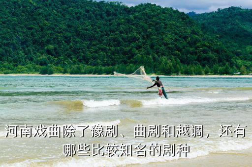 河南戲曲有多少品種,河南戲曲除了豫劇