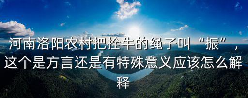 河南洛陽農村把拴牛的繩子叫“振”，這個是方言還是有特殊意義應該怎么解釋