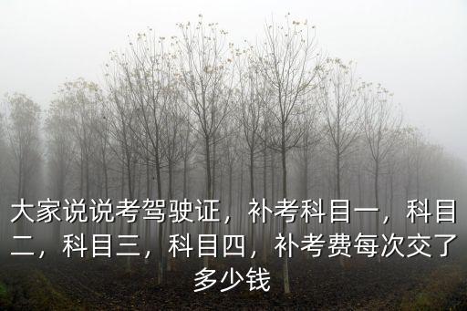 商丘駕駛證補(bǔ)考費(fèi)多少,補(bǔ)考費(fèi)每次交了多少錢(qián)