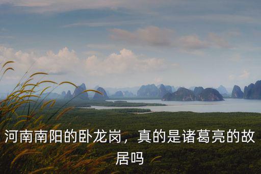 南陽諸葛廬是哪里的,河南南陽的臥龍崗