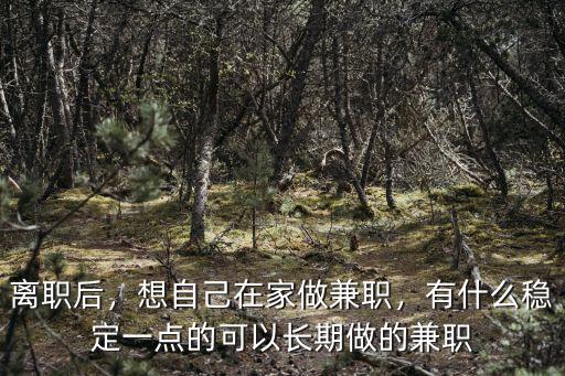 離職后，想自己在家做兼職，有什么穩(wěn)定一點(diǎn)的可以長期做的兼職