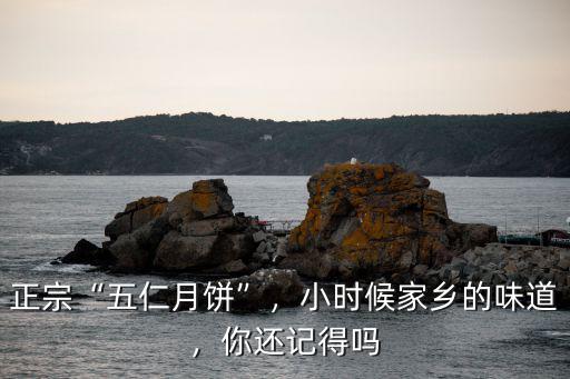 洛陽市哪里有做正宗五仁月餅,正宗五仁月餅