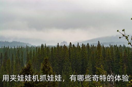 眉山哪里的抓娃娃機比較好玩,用夾娃娃機抓娃娃