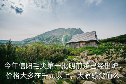 今年信陽毛尖第一批明前茶已經出爐，價格大多在千元以上，大家感覺值么
