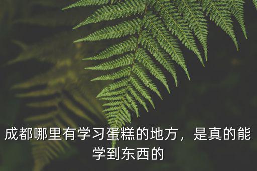 成都蛋糕學(xué)徒哪里好找,成都哪里有學(xué)習(xí)蛋糕的地方
