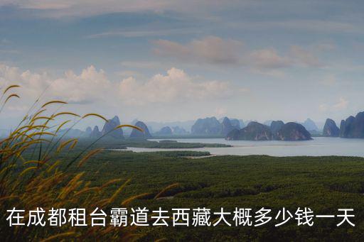 在成都租臺霸道去西藏大概多少錢一天
