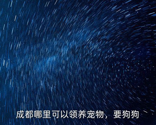 成都哪里可以領(lǐng)養(yǎng)寵物，要狗狗