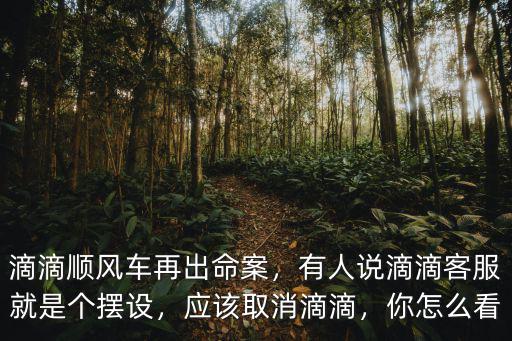 滴滴順風車鐘某四川哪里人,滴滴順風車頻頻出事