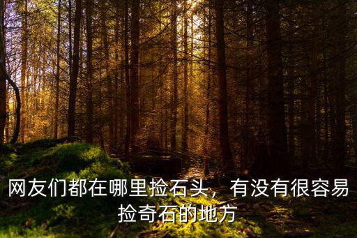 雅安哪里可以撿奇石,廣元什么地方可以撿奇石