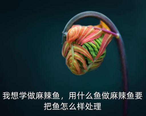 樂山哪里麻辣魚做的好吃,我想學做麻辣魚