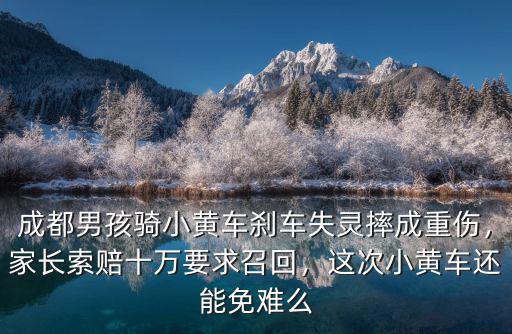 成都男孩騎小黃車剎車失靈摔成重傷，家長索賠十萬要求召回，這次小黃車還能免難么