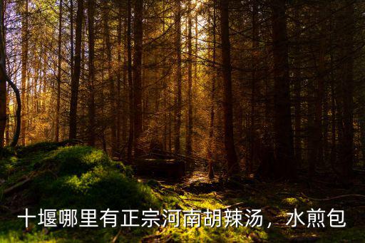 河南哪里賣水煎包,河南哪里的水煎包有名氣