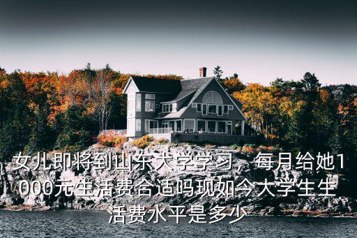 鶴壁大學生活費是多少,大學生的生活費是多少