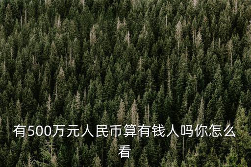 有500萬元人民幣算有錢人嗎你怎么看
