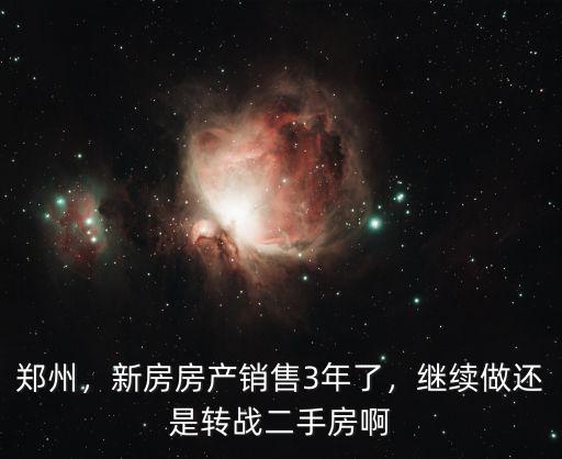 鄭州，新房房產銷售3年了，繼續做還是轉戰二手房啊