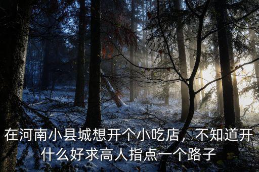 在河南小縣城想開個小吃店，不知道開什么好求高人指點一個路子