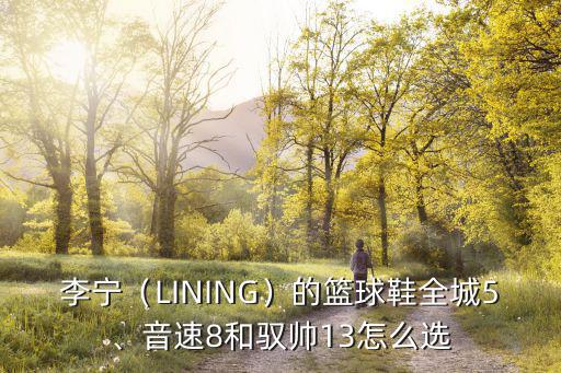 李寧（LINING）的籃球鞋全城5、音速8和馭帥13怎么選