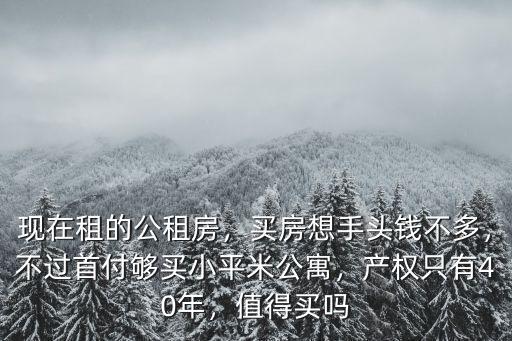 現在租的公租房，買房想手頭錢不多，不過首付夠買小平米公寓，產權只有40年，值得買嗎