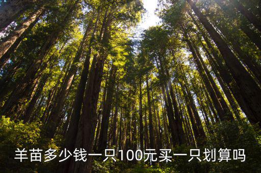 羊苗多少錢一只100元買一只劃算嗎