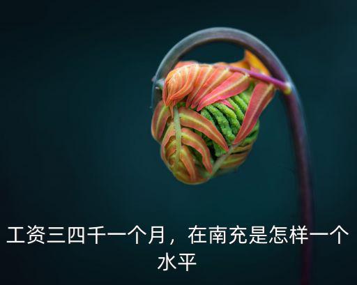 工資三四千一個月，在南充是怎樣一個水平
