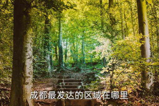 成都市區哪里最繁華,成都最發達的區域在哪里