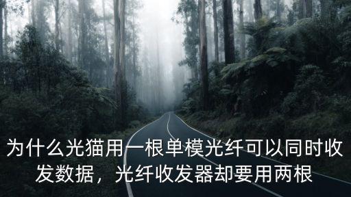 為什么光貓用一根單模光纖可以同時收發數據，光纖收發器卻要用兩根