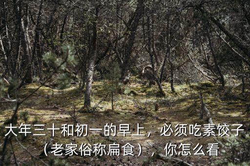 河南老家的扁食怎么做,你的家鄉(xiāng)是怎么做的呢
