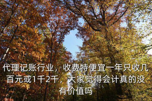 安陽代理記賬多少錢,代理記賬多少錢一個(gè)月