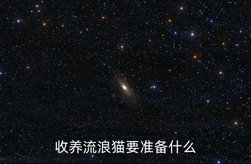 宜賓哪里可以收養流浪貓,收養所有流浪貓