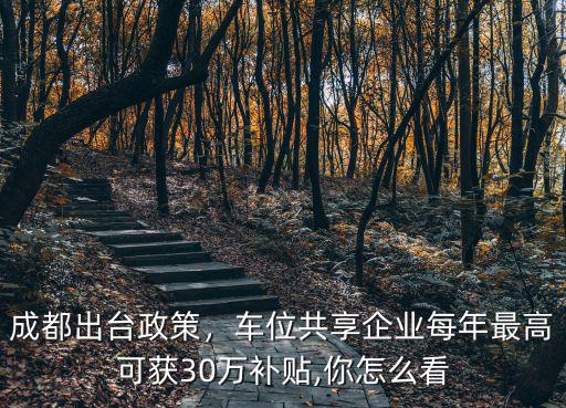 成都出臺政策，車位共享企業(yè)每年最高可獲30萬補(bǔ)貼,你怎么看