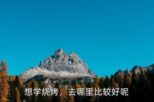 南充鐵板烤肉培訓(xùn)哪里的好,南充川菜培訓(xùn)哪里好