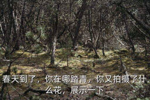 成都春天哪里踏青好,成都周邊賞花去哪里好